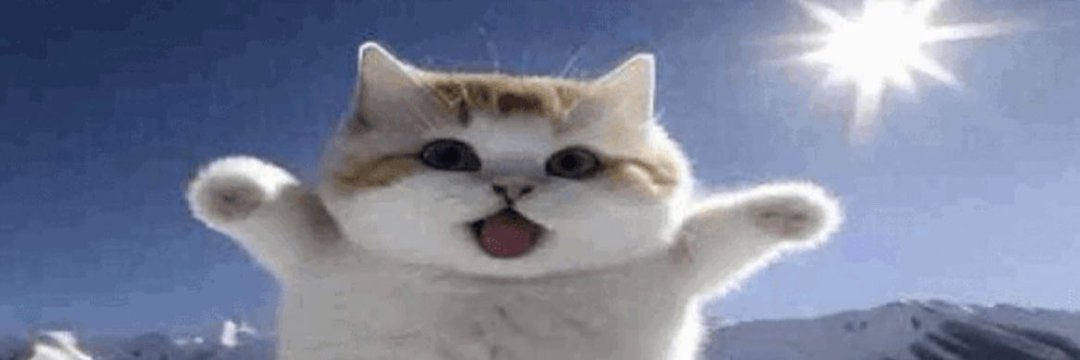 Αmaso banner