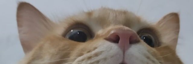 SetiawanSanz's profile banner image