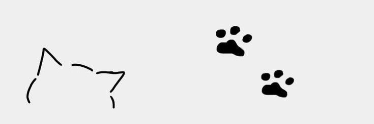 y00im's profile banner image
