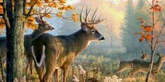 dbarkhimer93's profile banner image