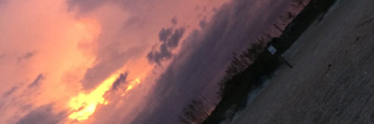melissaaskinner's profile banner image