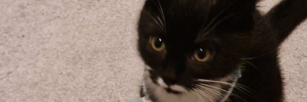 Marshawllaw Profile Banner