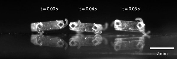 RFFL_UB Profile Banner