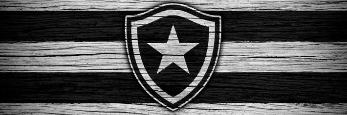 courtz banner