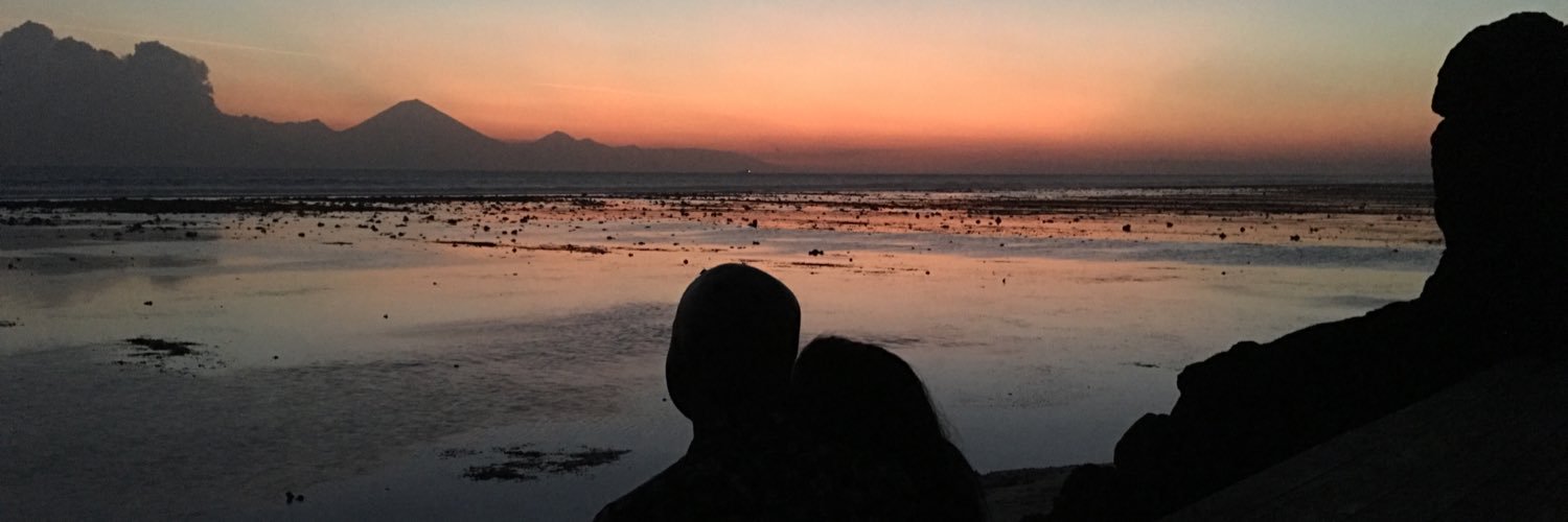 dolapoolaoye's profile banner image