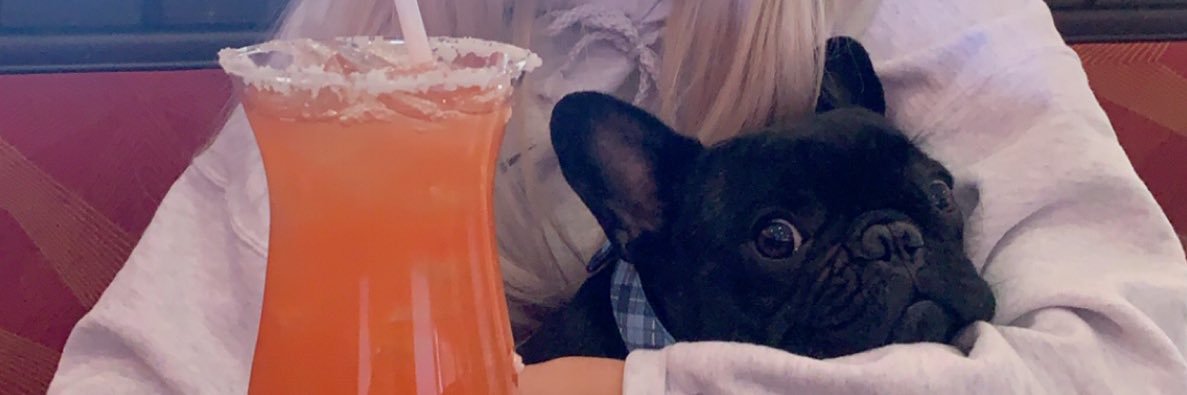 not_gretchen_'s profile banner image