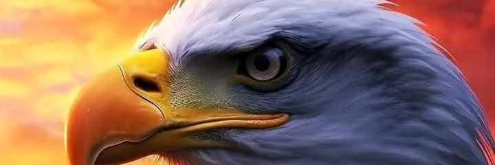 erleyprince's profile banner image