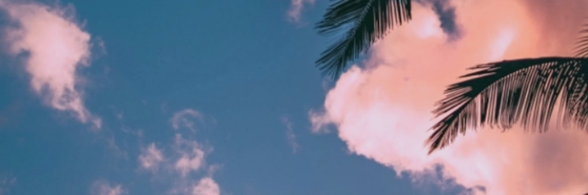 Ireneloas's profile banner image