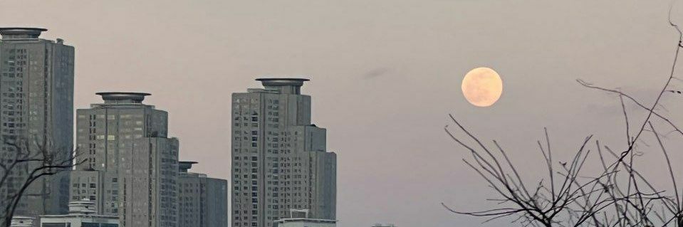 destyrach's profile banner image