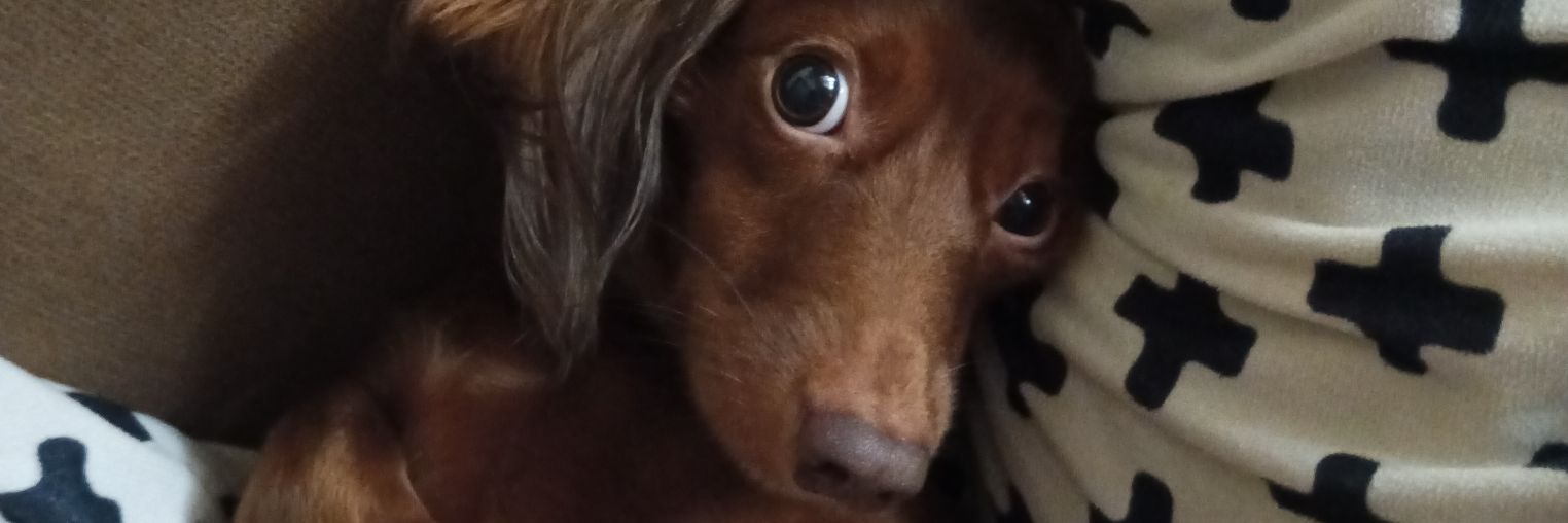 alliahmcc's profile banner image
