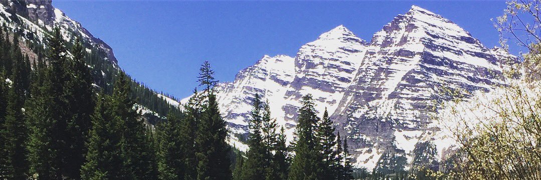 LizMarieLococo's profile banner image