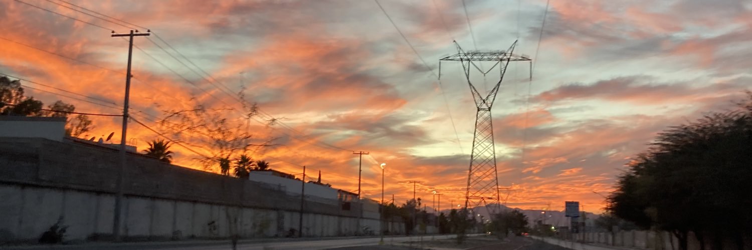 carofls's profile banner image