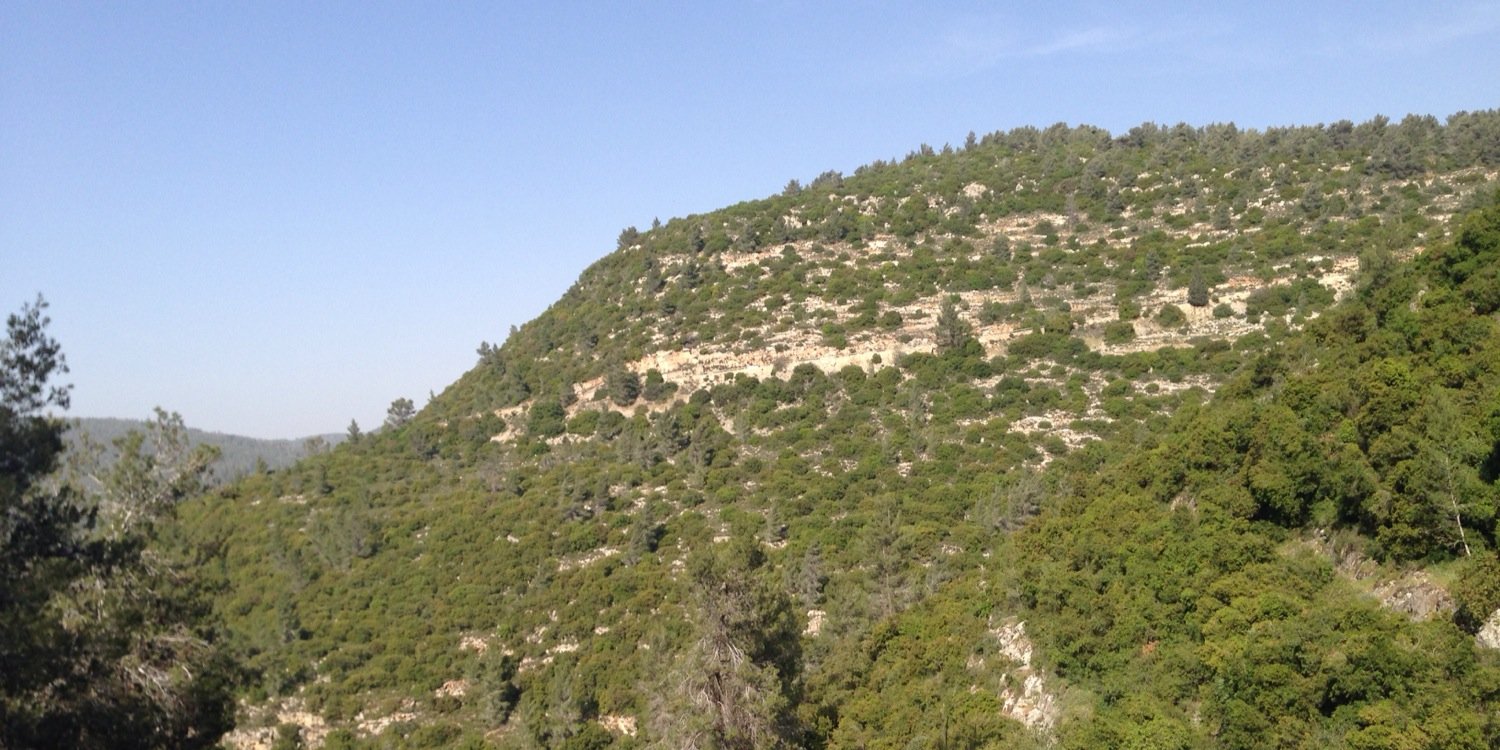 amidbennaim's profile banner image