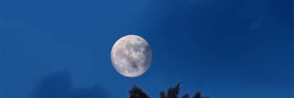 PritamD002 Profile Banner