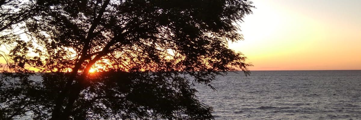 brunbrina's profile banner image