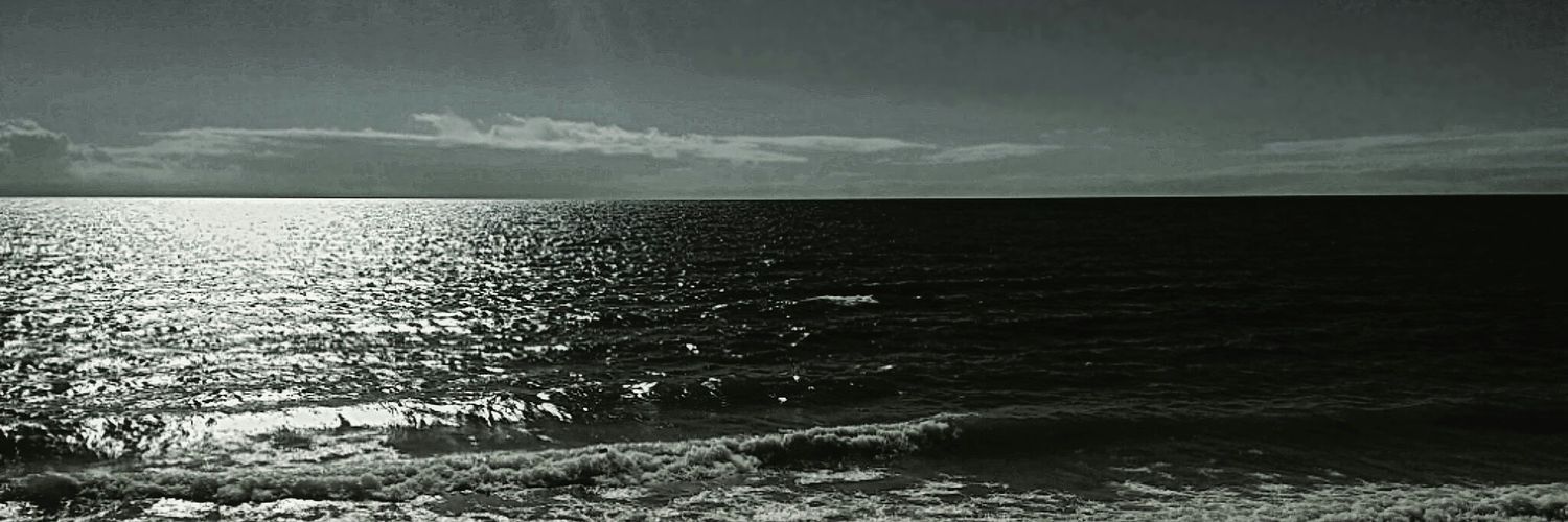 ravensteele111's profile banner image