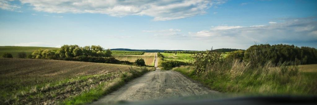 Rochelle Mansiere banner