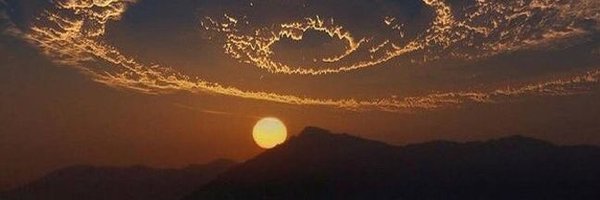 Timbeerlly Profile Banner