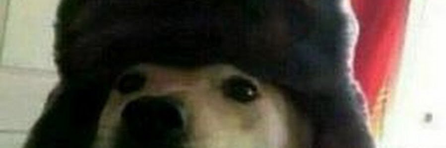 ivaaanrt's profile banner image