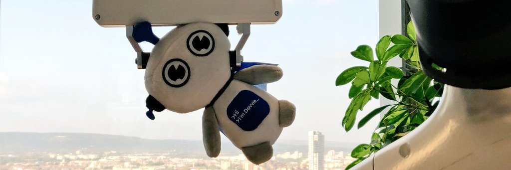 Flo Pachinger banner