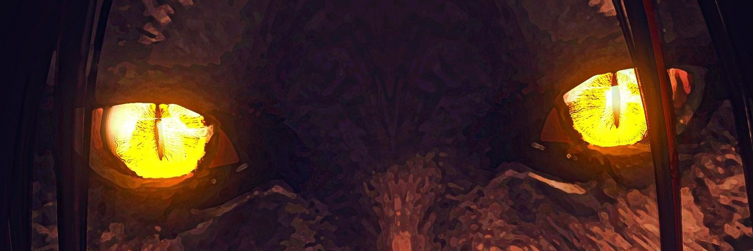 Arden- Trying to get back 🏳️‍🌈🏳️‍⚧️ banner