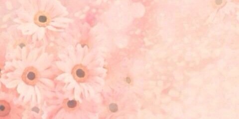 eightpresent's profile banner image