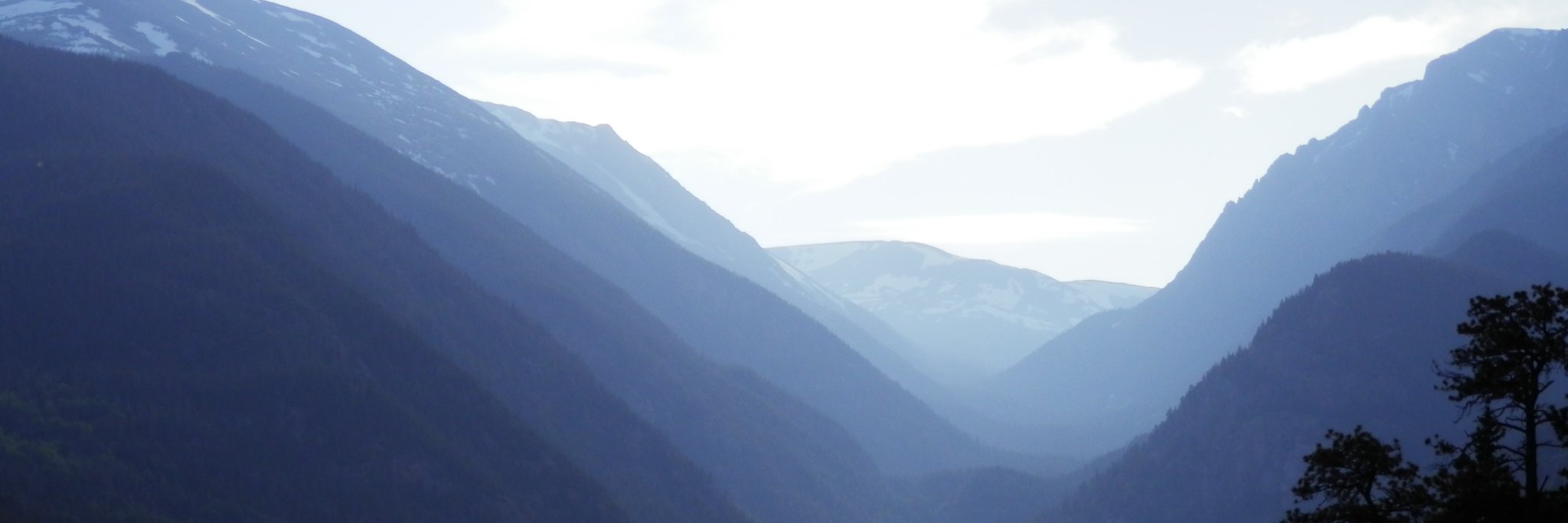 WhalenScience's profile banner image