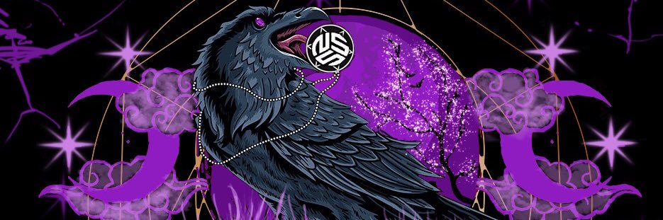 siilverrosee's profile banner image
