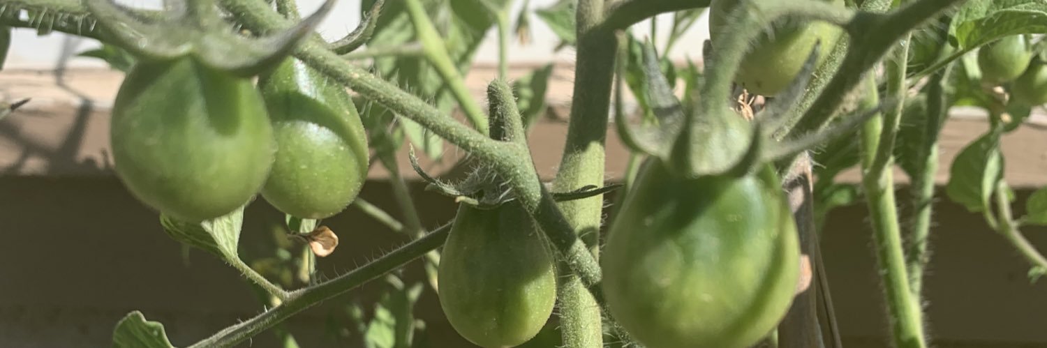 Sunni Hepburn banner