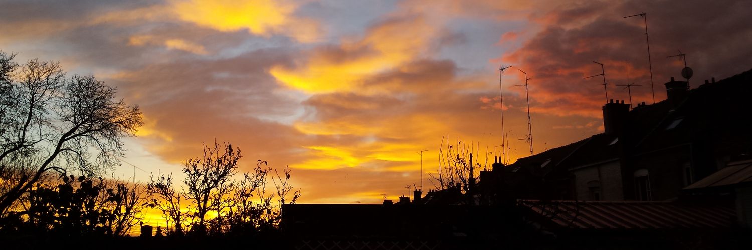 🍃🌸 𝑆𝑎𝑛𝑑𝑟𝑎 🌸🍃 banner