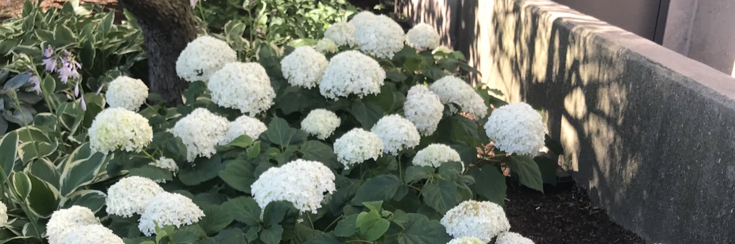 ounceofprevention banner