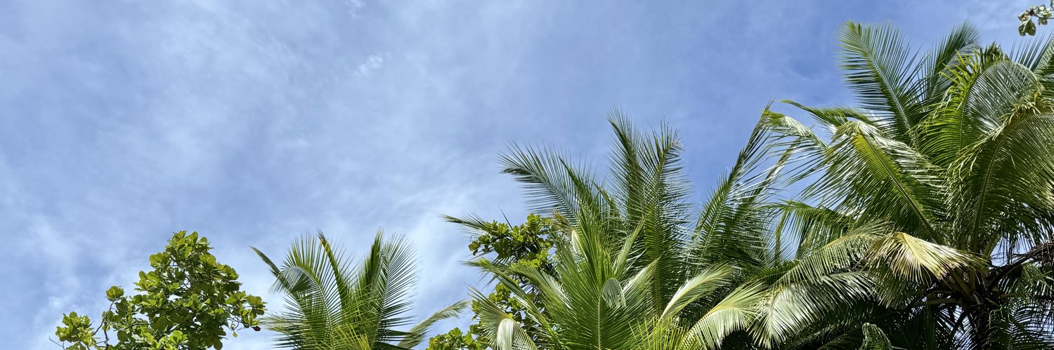 lorena_sgs's profile banner image