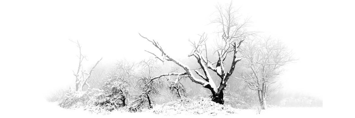 Yunki72148's profile banner image