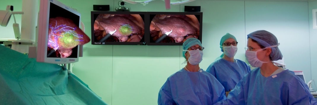 Barbara Seeliger MD, PhD, FACS banner