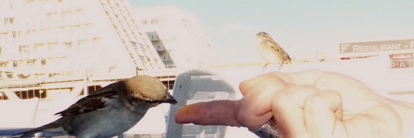 MYOMIAOU357 Profile Banner