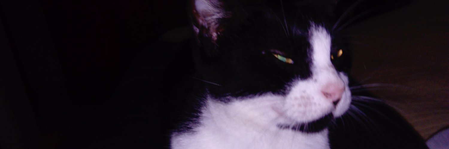 JorgeCastell's profile banner image