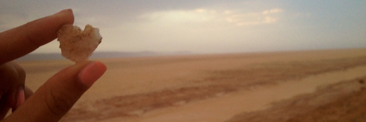 lies banner