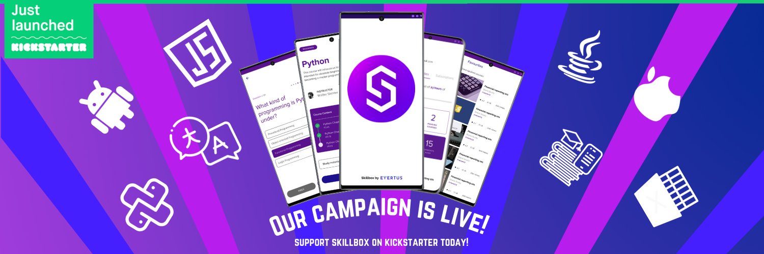 SkillBoxEvertus's profile banner image