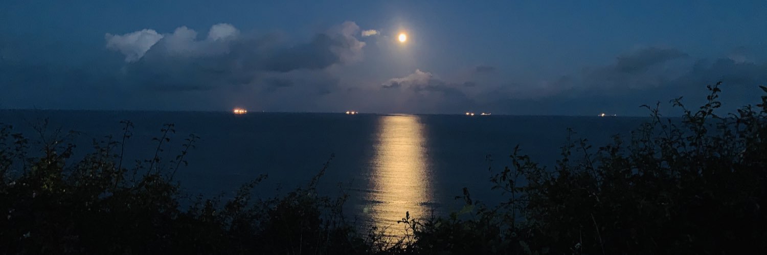 Michelle Stanley (Young) banner