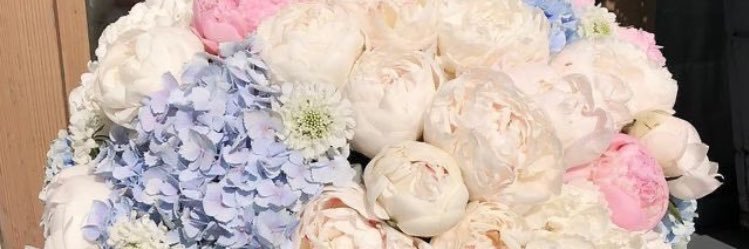 🌱 banner
