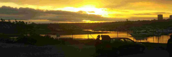 junglemutt Profile Banner