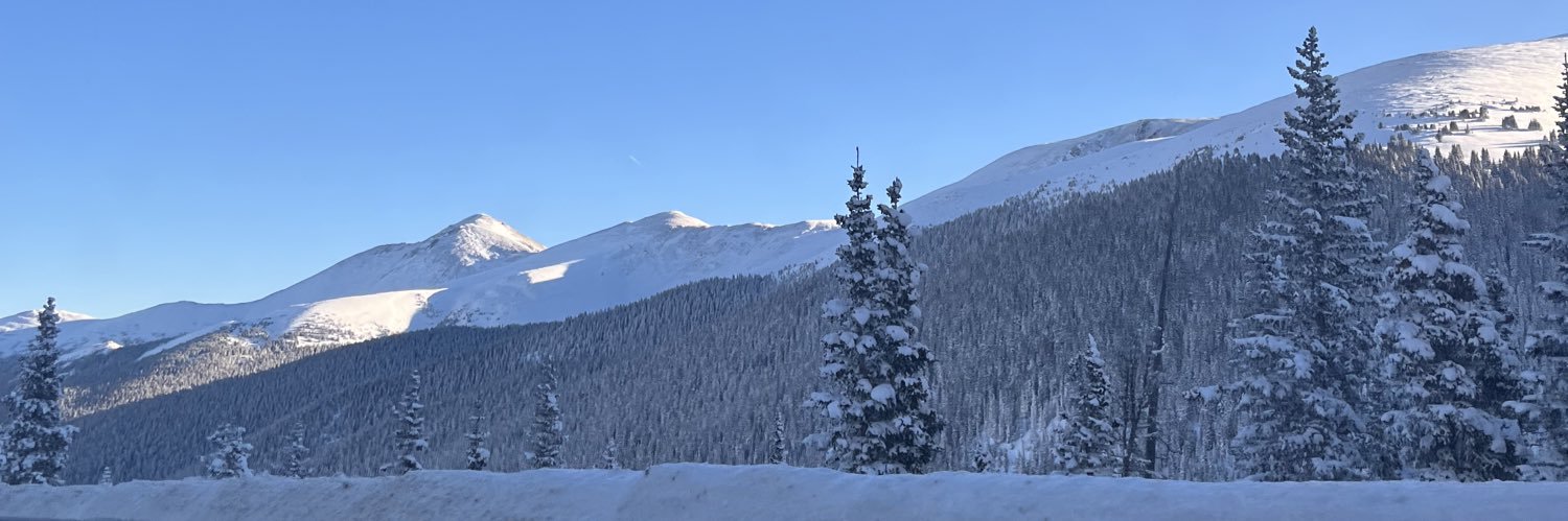 Laura Gensert banner