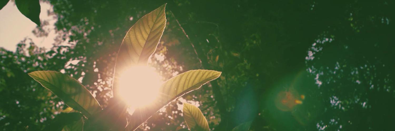 karlagrets's profile banner image