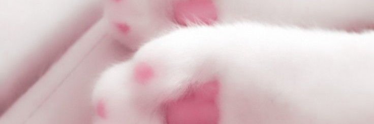 𝑩𝒂𝒃𝒆 ♡ banner
