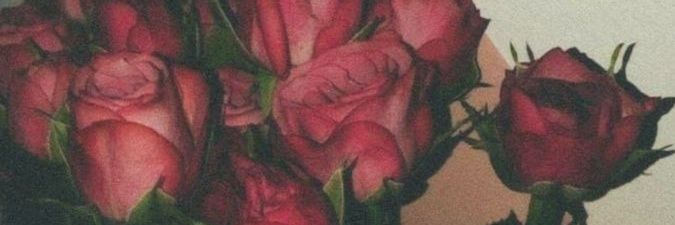 sibelcarbuga's profile banner image