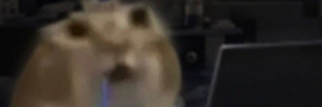 Alfred91978671's profile banner image