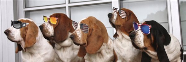 Hound Dawg 🇺🇸🐶🍊 Profile Banner