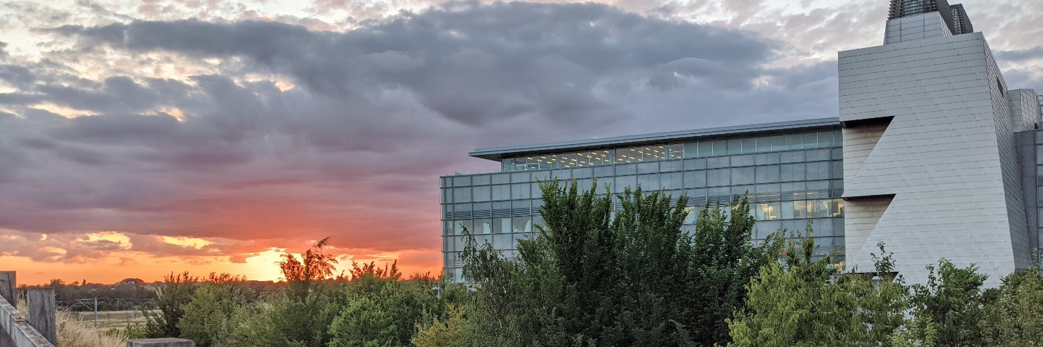 Markus Höpfler banner