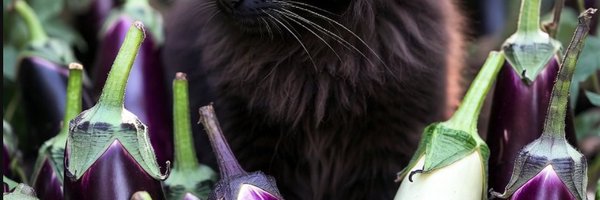 AngelaCastrejon Profile Banner