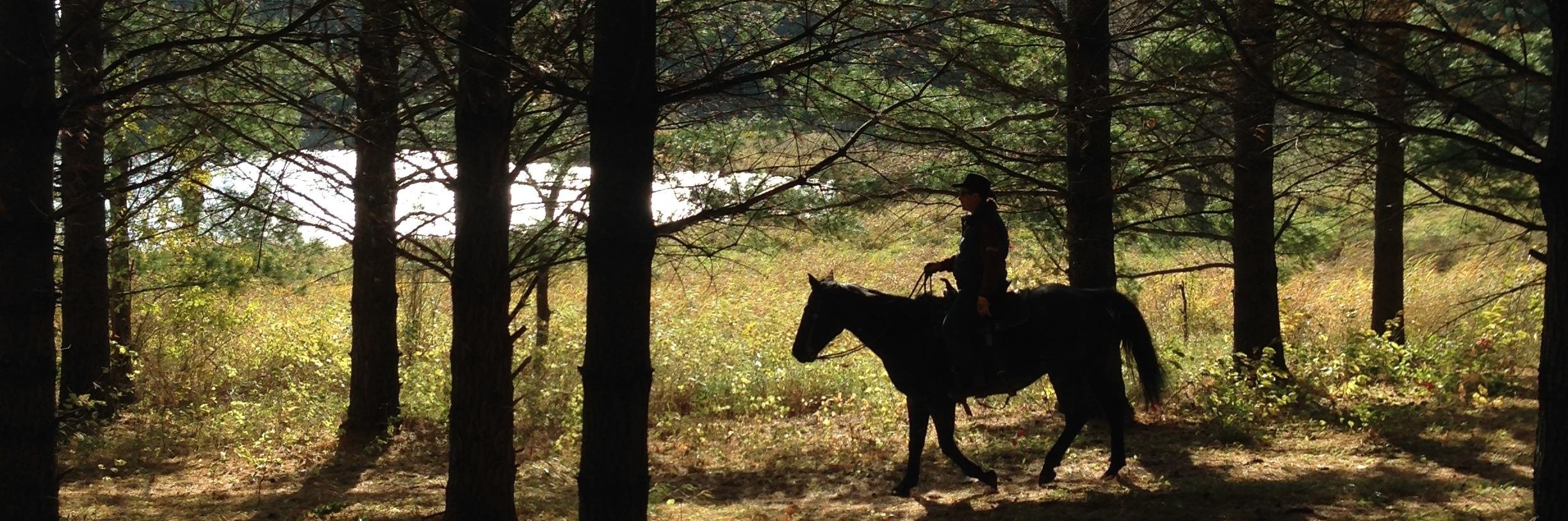 Mark Galloway banner